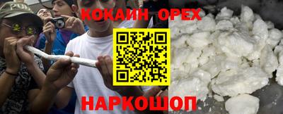 apvp Гатчина