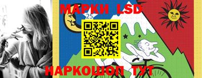 apvp Гатчина