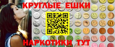 apvp Гатчина