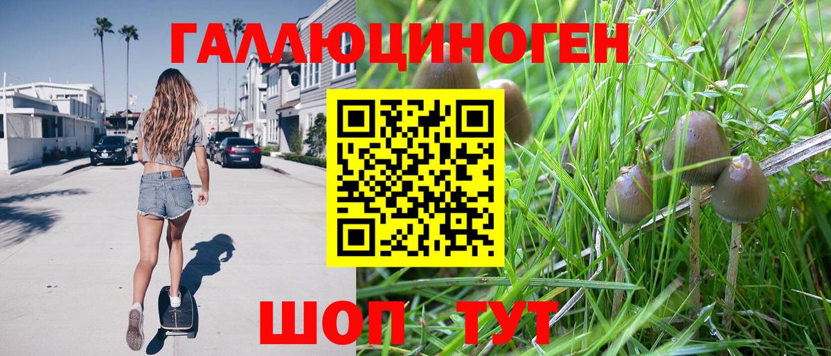 Псилоцибиновые грибы Psilocybine cubensis  Псилоцибиновые грибы мицелий  Вход с VPN  Луга 