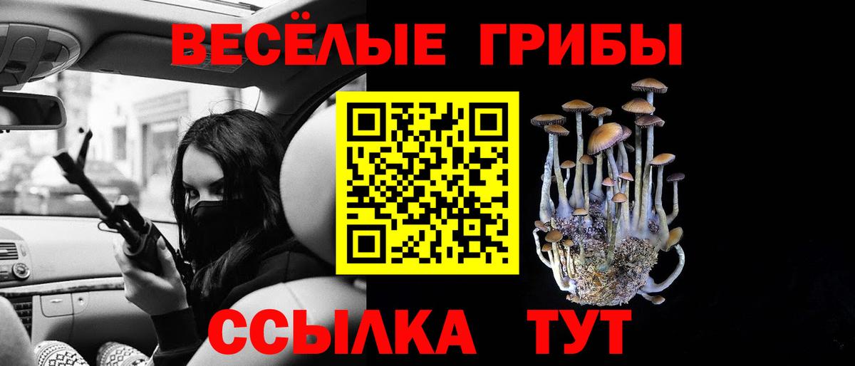 Псилоцибиновые грибы Psilocybine cubensis Луга